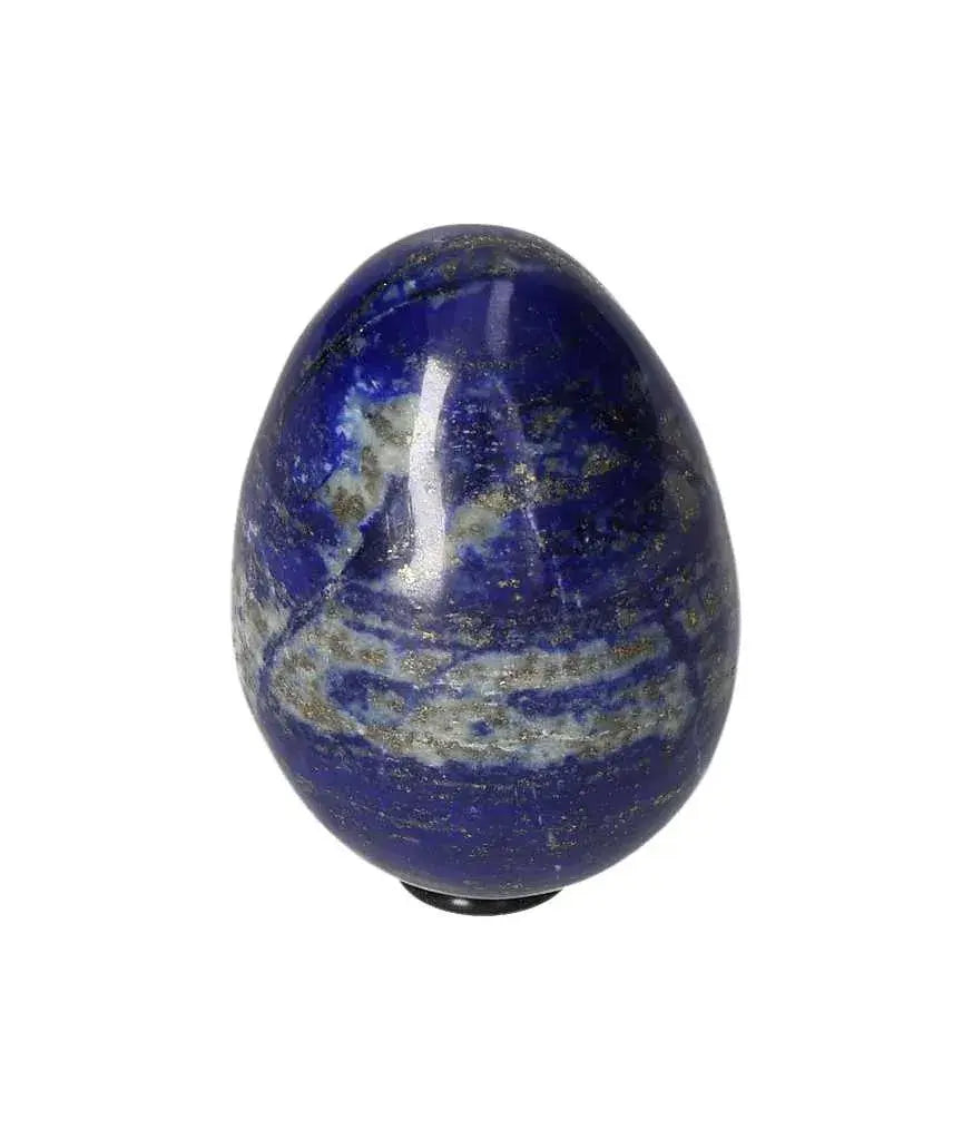 orbitvu|type:image2d