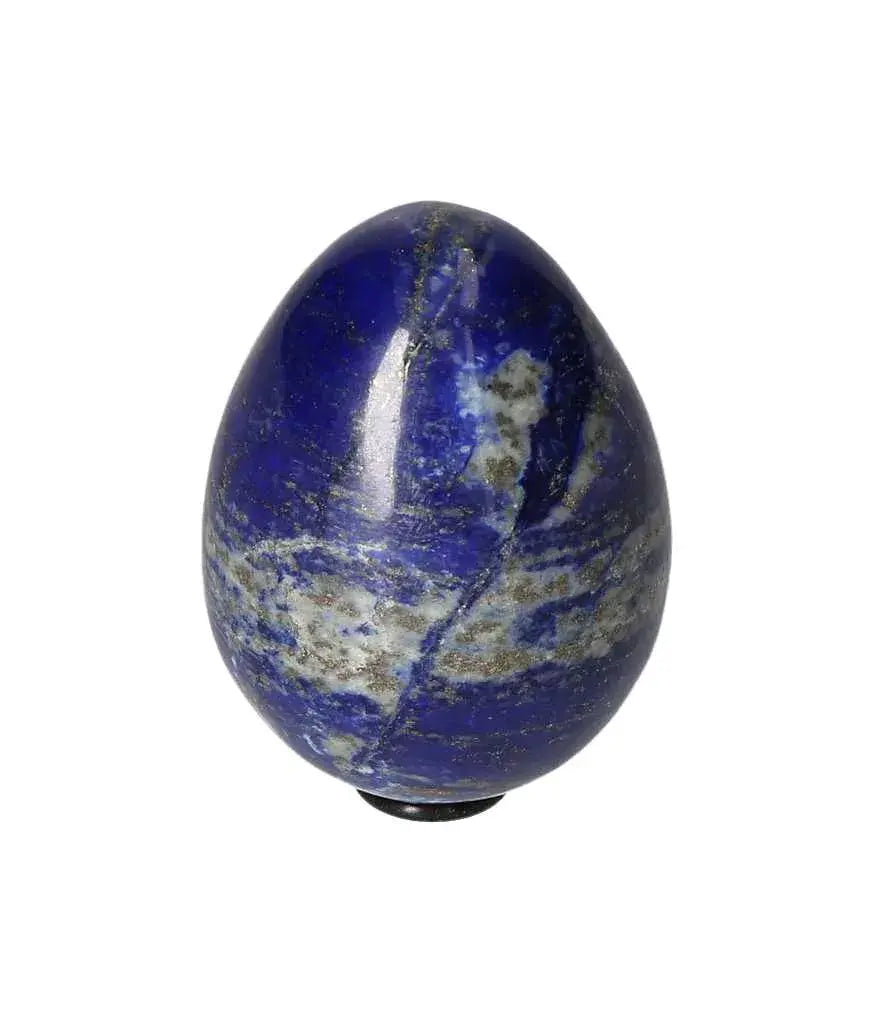 orbitvu|type:image2d