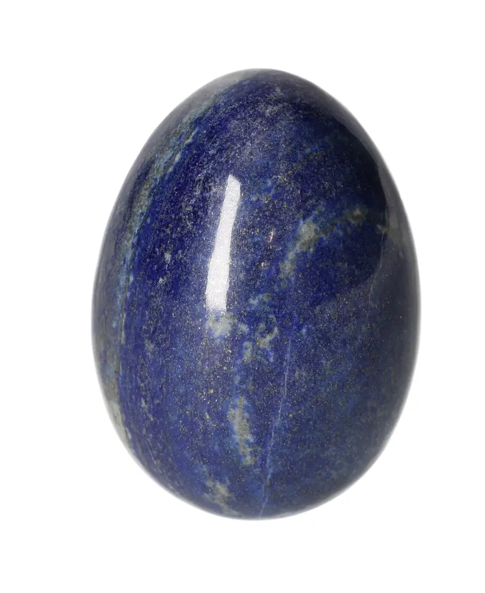 orbitvu|type:image2d