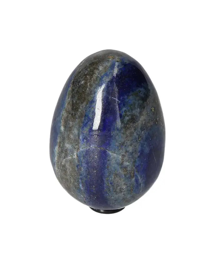 orbitvu|type:image2d