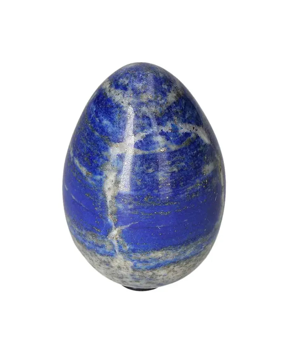 orbitvu|type:image2d