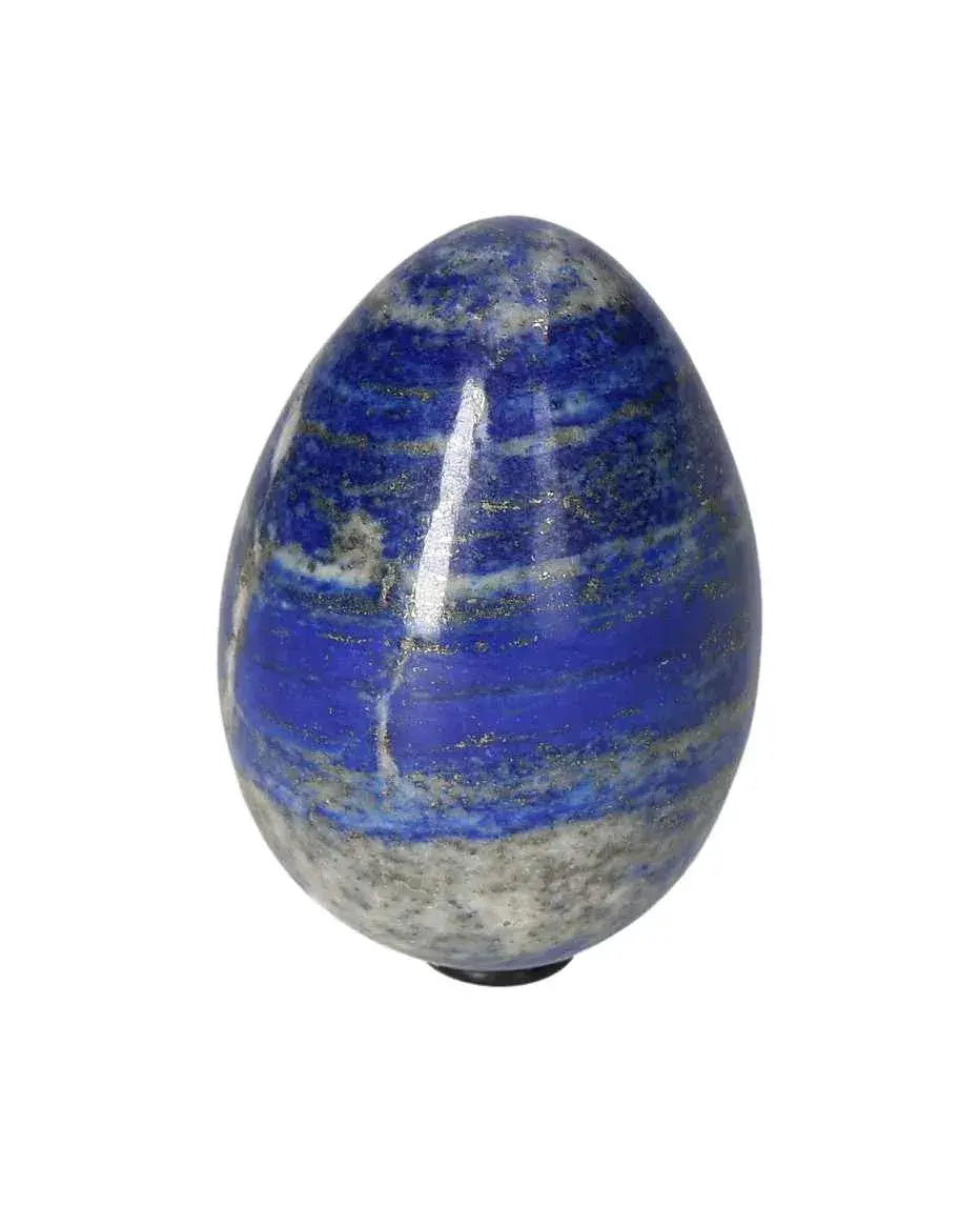 orbitvu|type:image2d