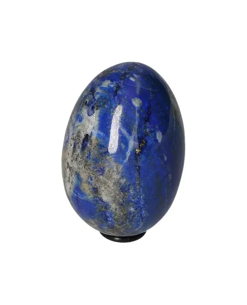 orbitvu|type:image2d