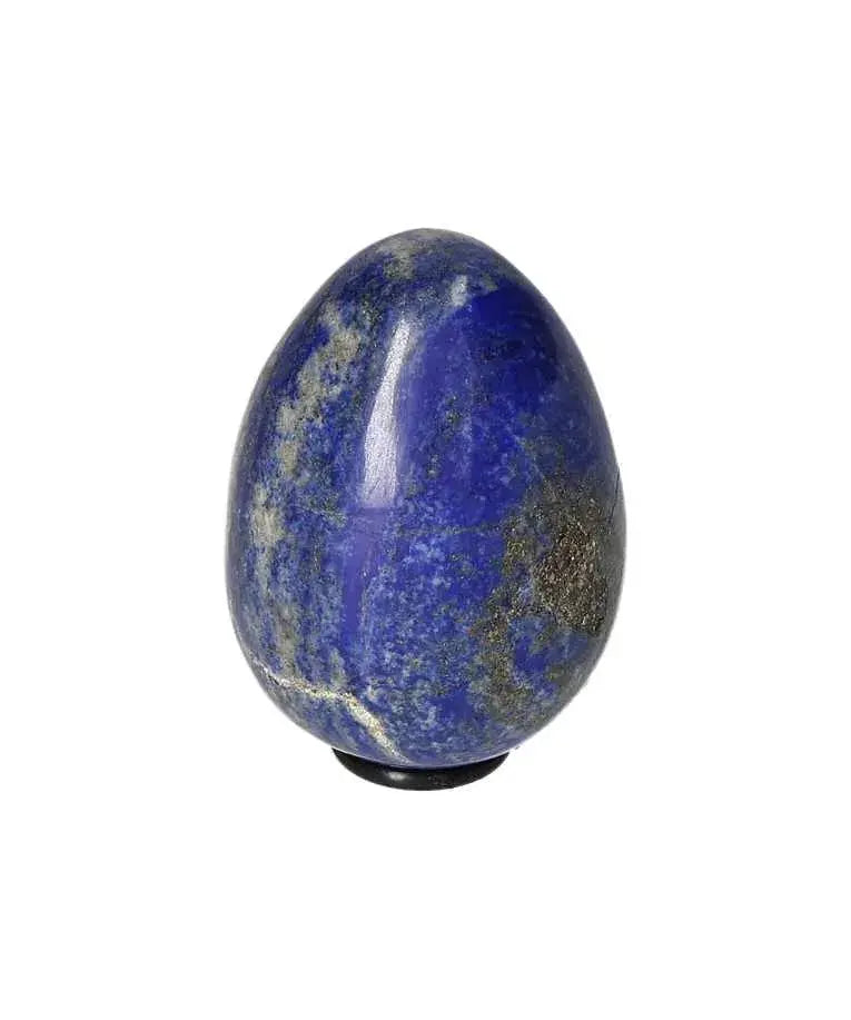 orbitvu|type:image2d