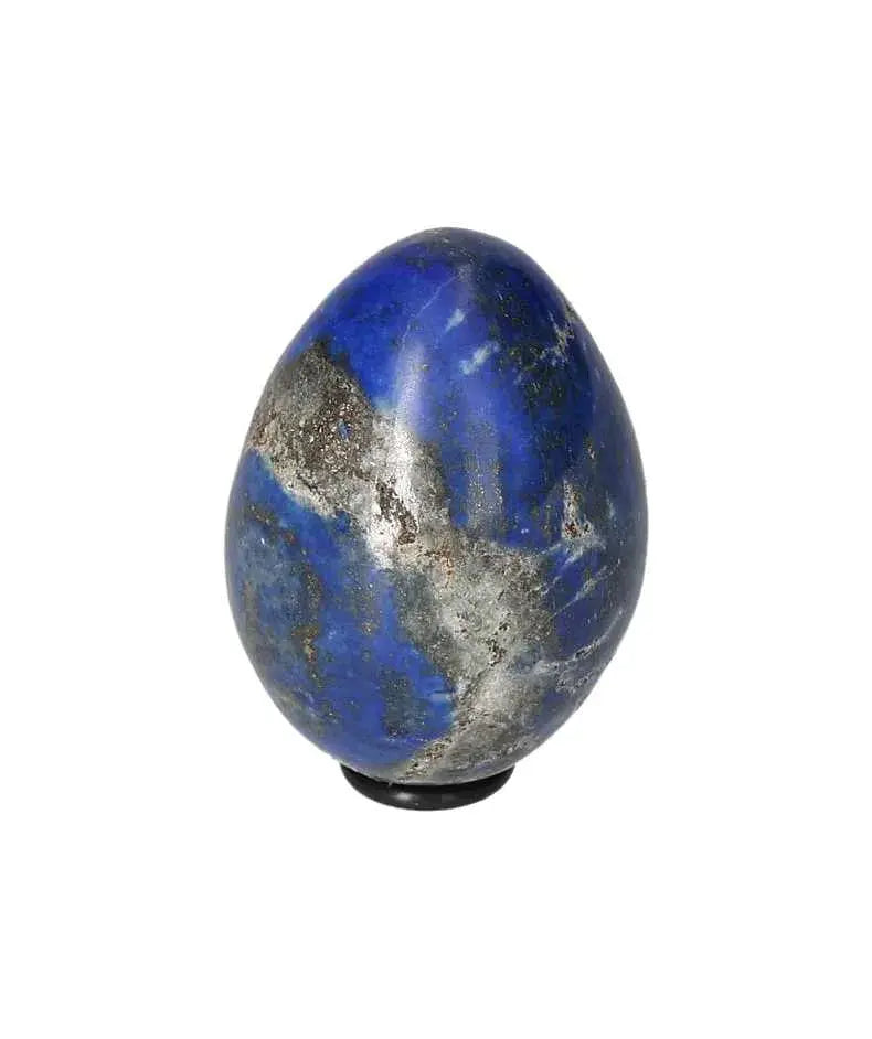 orbitvu|type:image2d