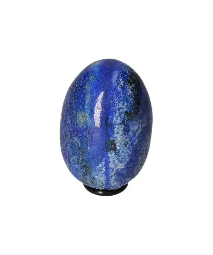 orbitvu|type:image2d