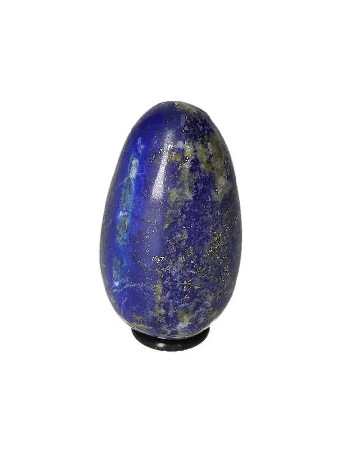 orbitvu|type:image2d