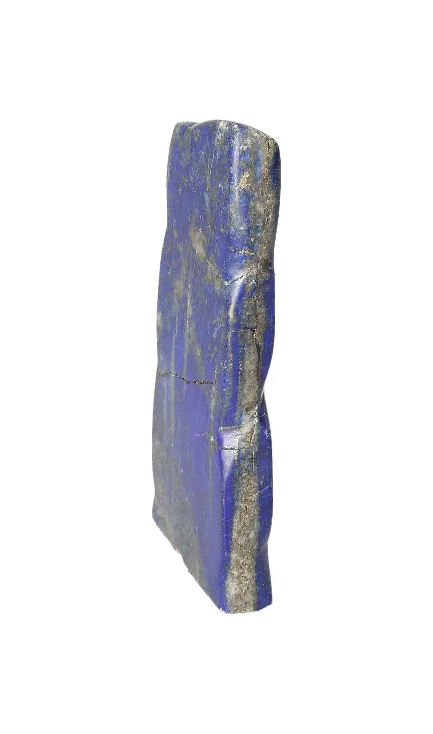 orbitvu|type:image2d