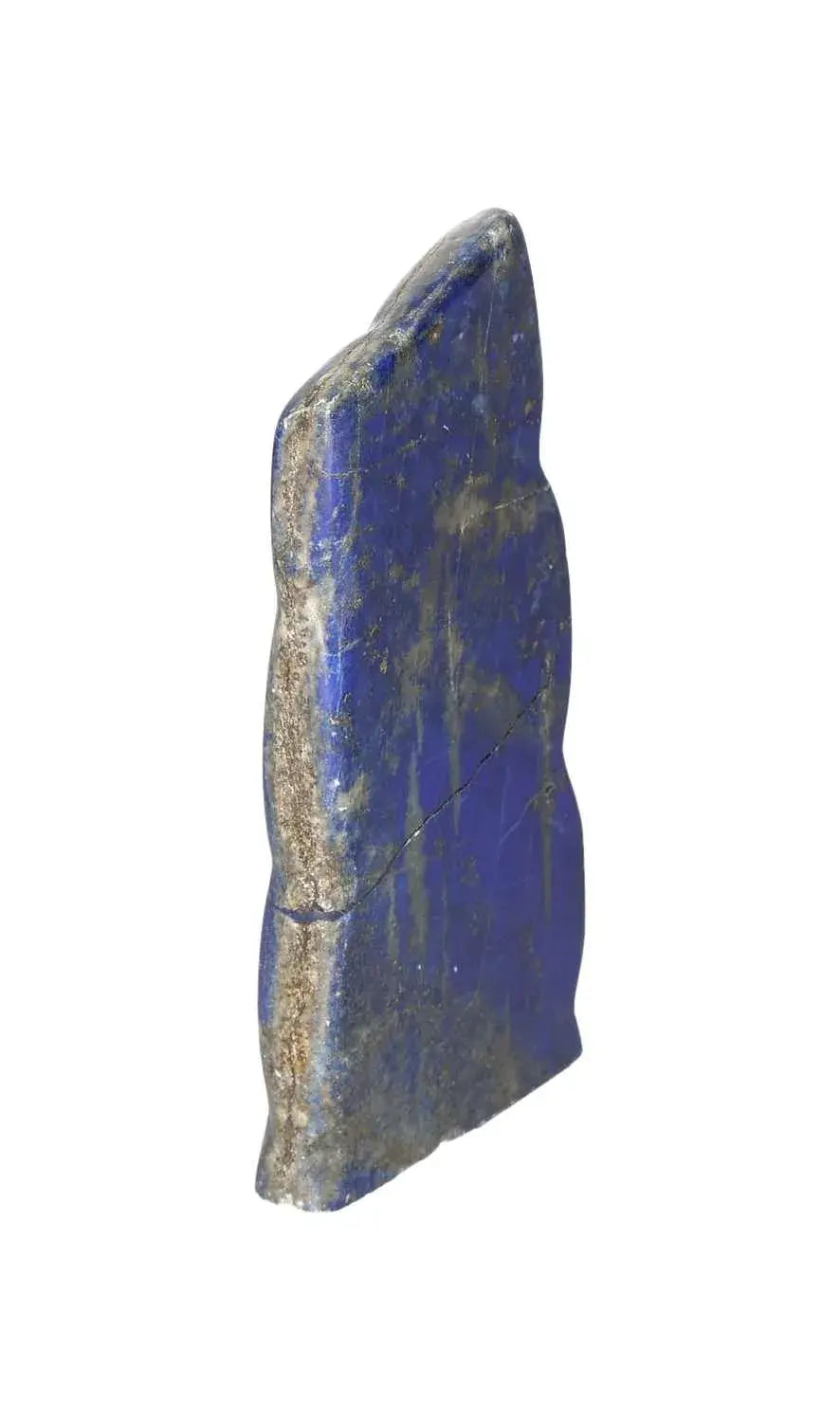 orbitvu|type:image2d