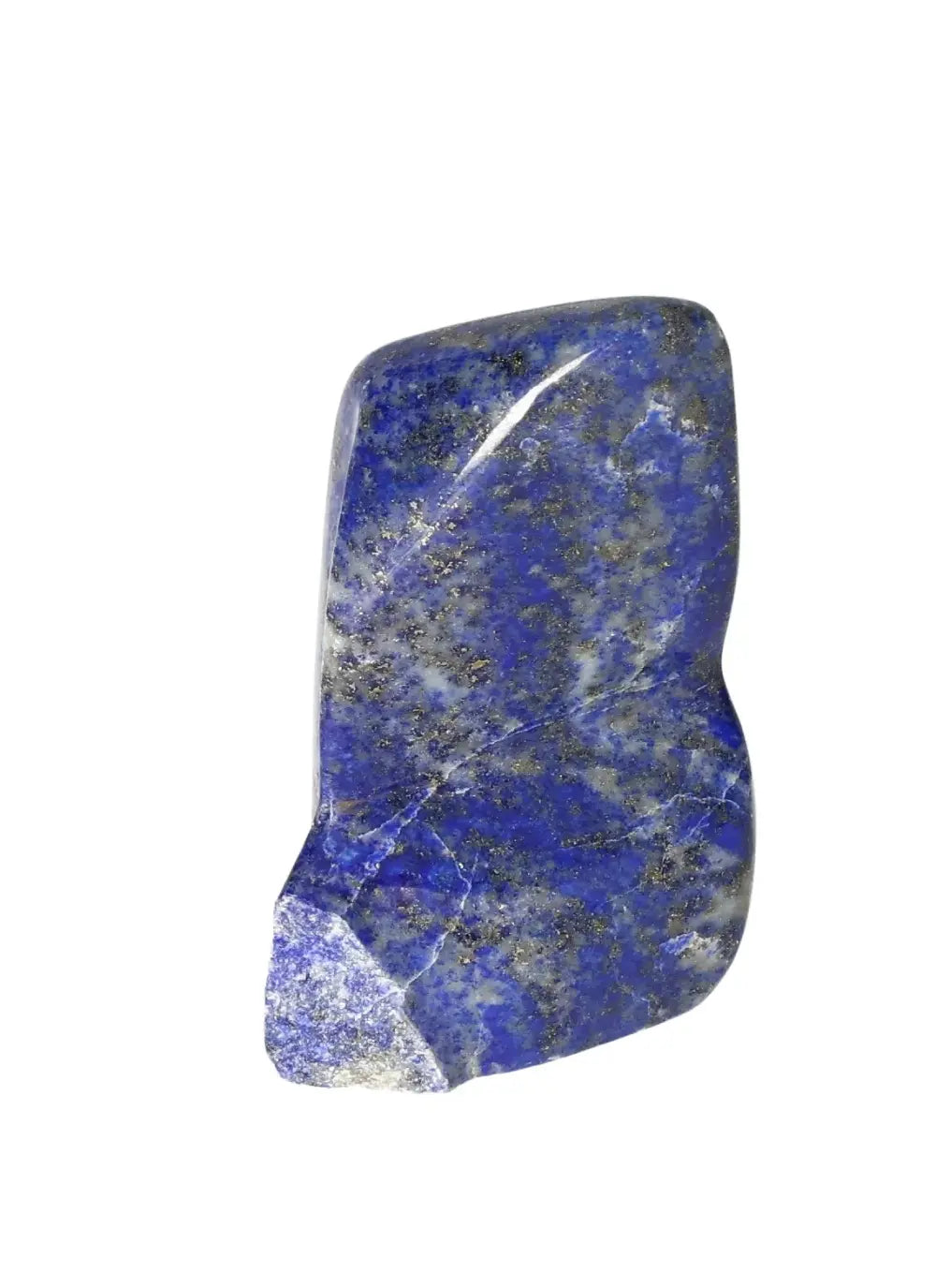 orbitvu|type:image2d