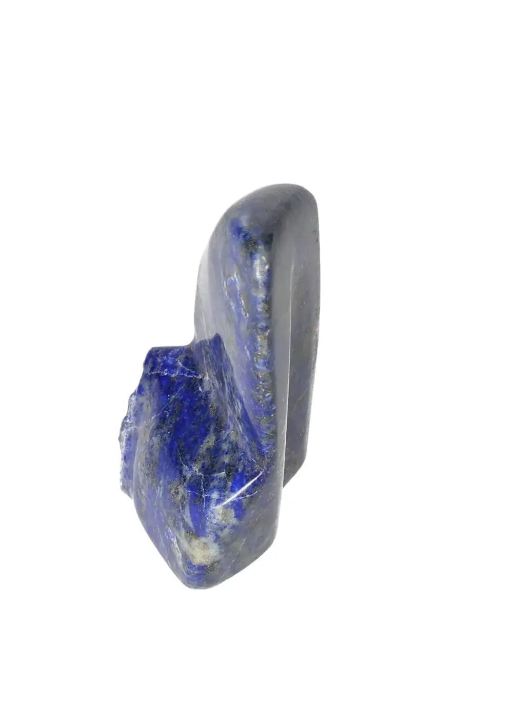 orbitvu|type:image2d