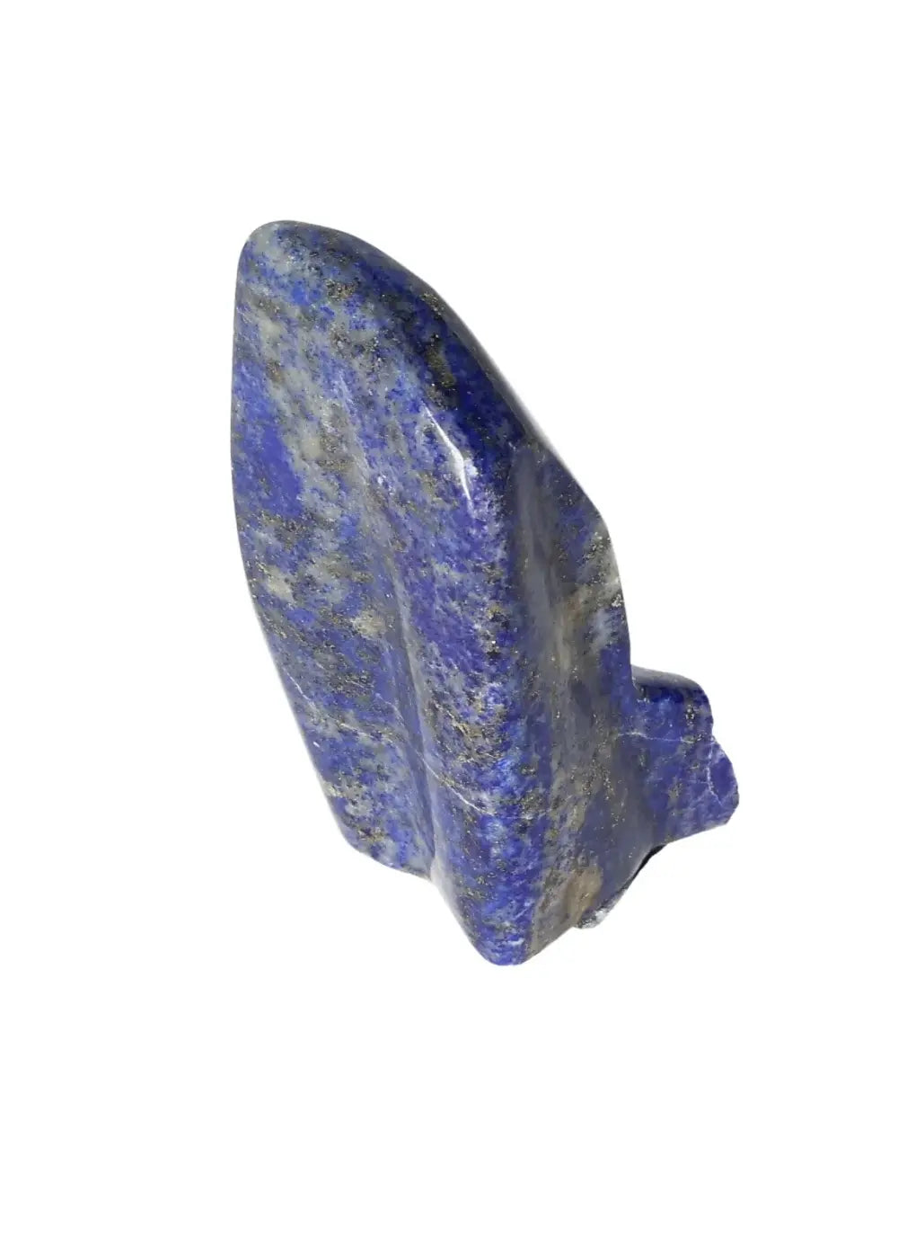 orbitvu|type:image2d