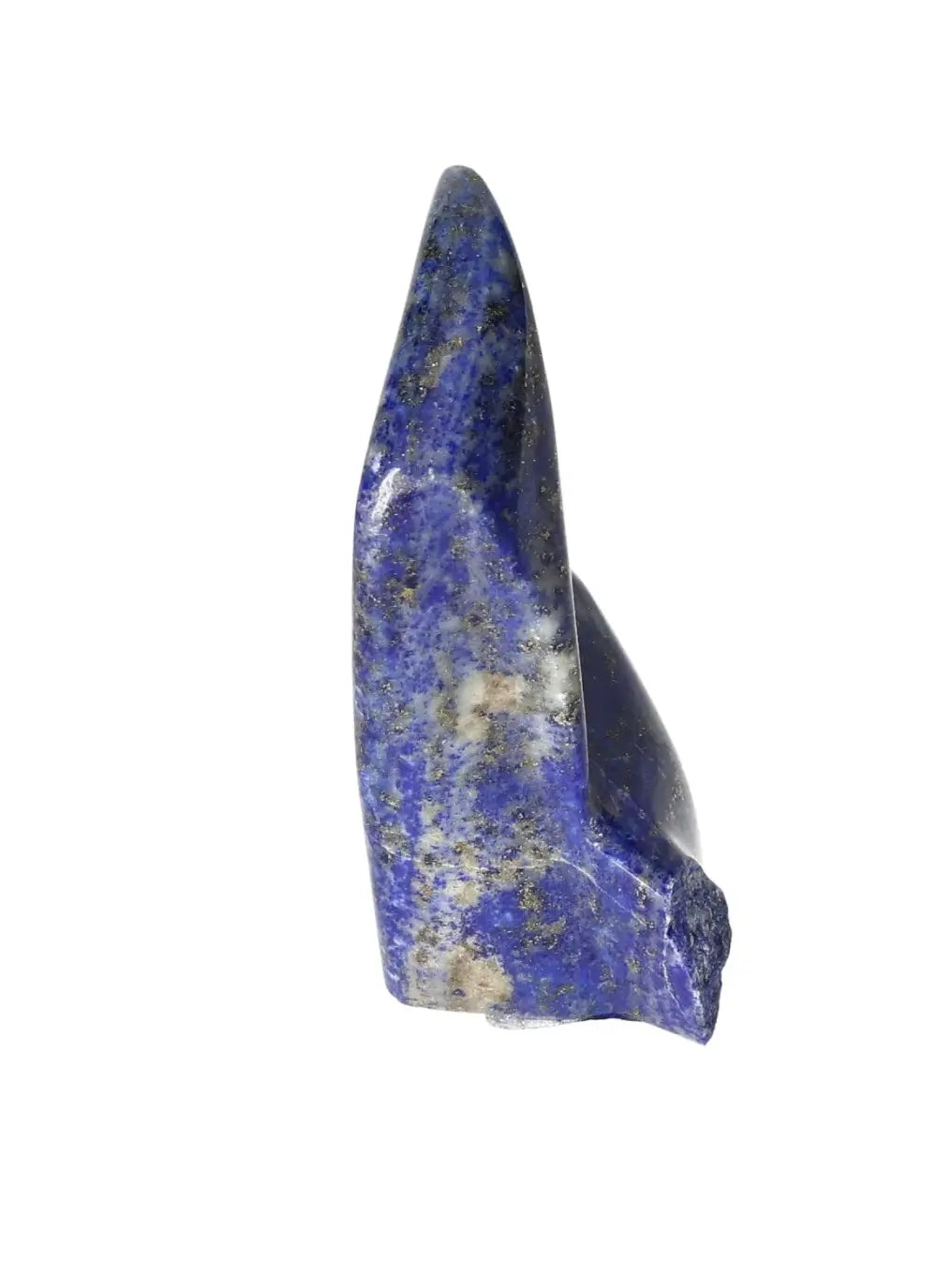 orbitvu|type:image2d