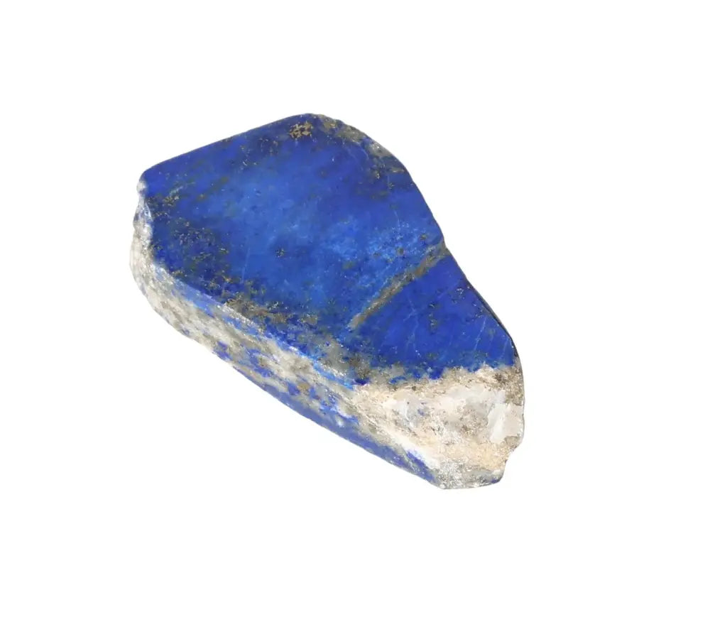 orbitvu|type:image2d