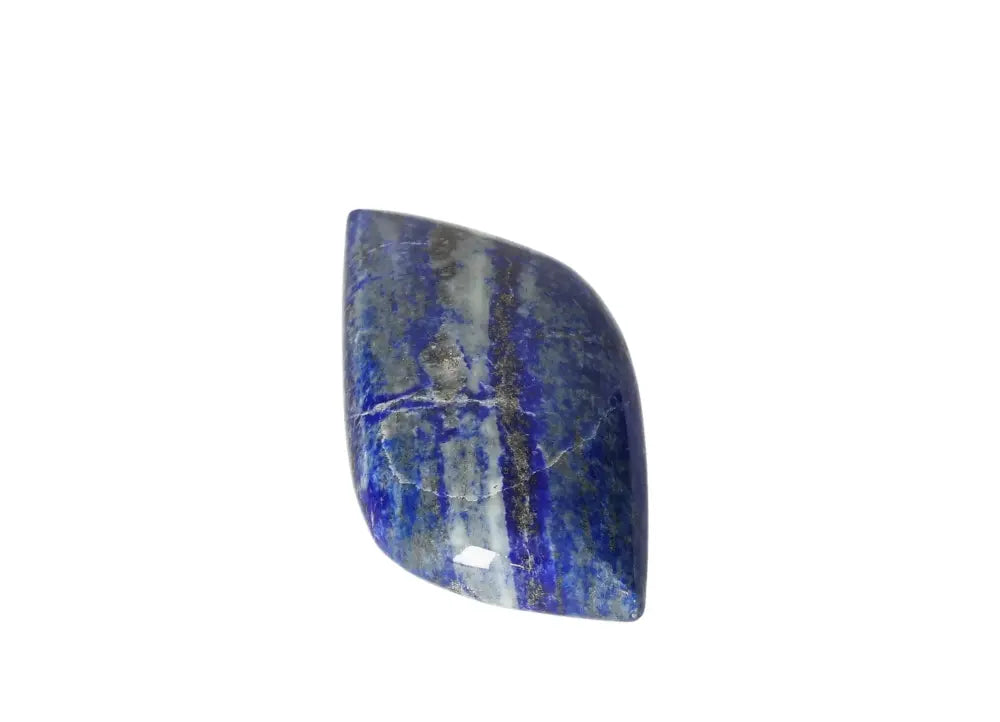 orbitvu|type:image2d