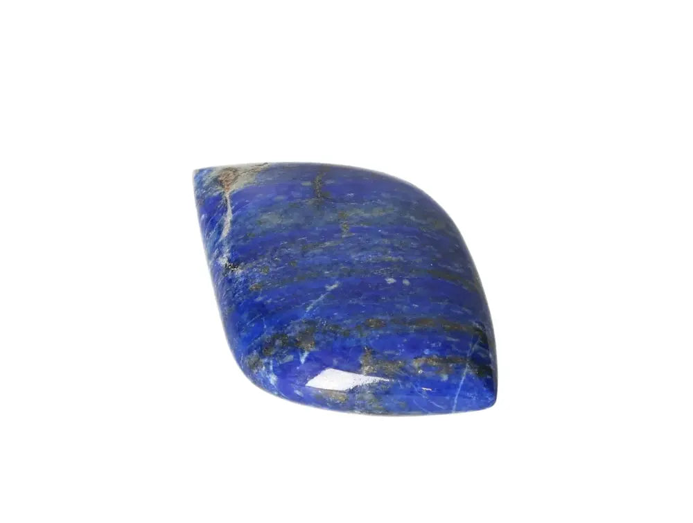 orbitvu|type:image2d