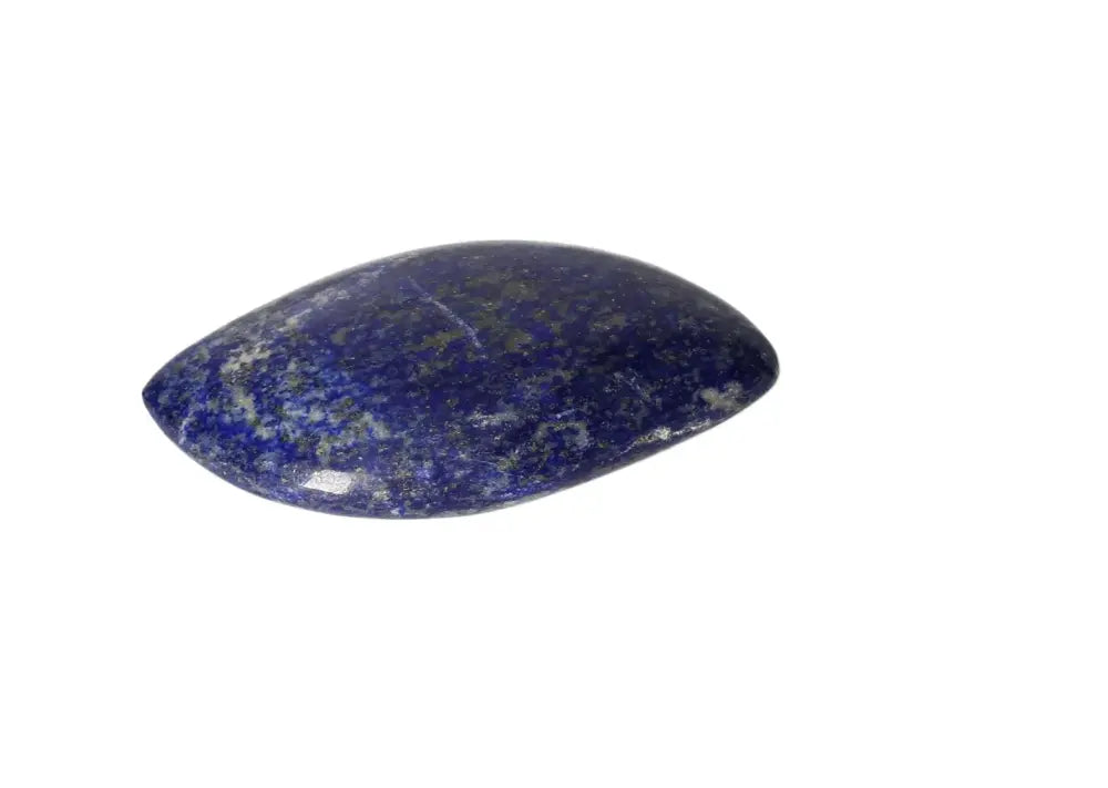 orbitvu|type:image2d