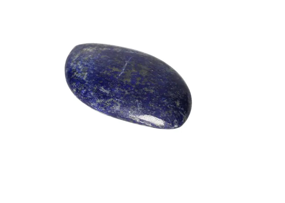 orbitvu|type:image2d