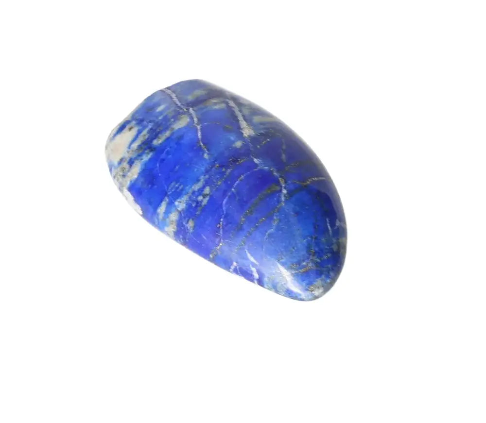 orbitvu|type:image2d