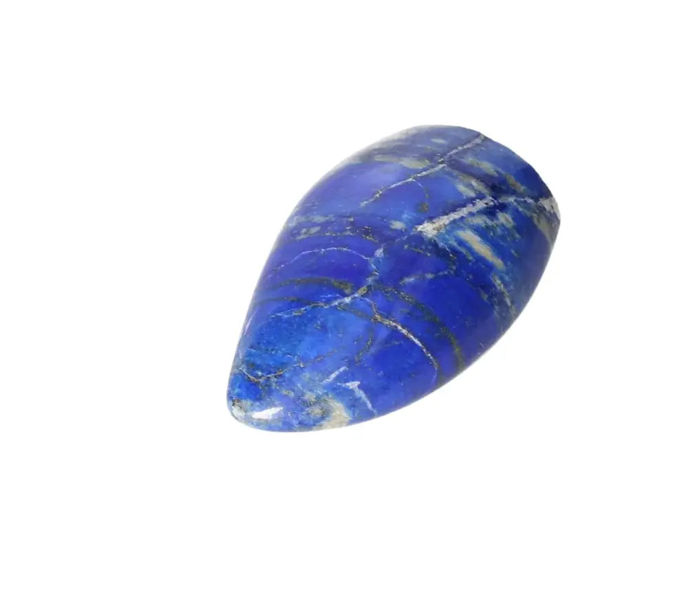 orbitvu|type:image2d