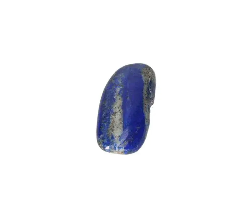 orbitvu|type:image2d