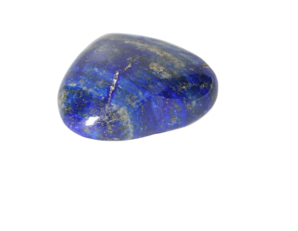 orbitvu|type:image2d