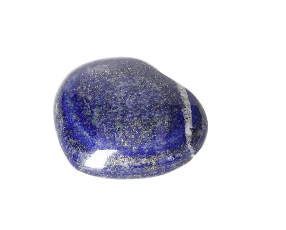 orbitvu|type:image2d