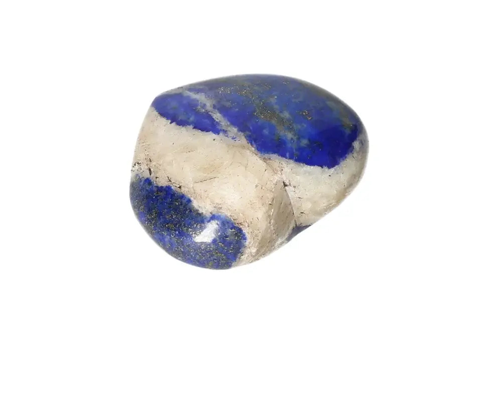 orbitvu|type:image2d