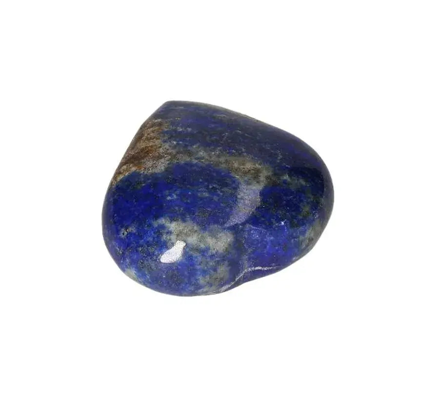 orbitvu|type:image2d