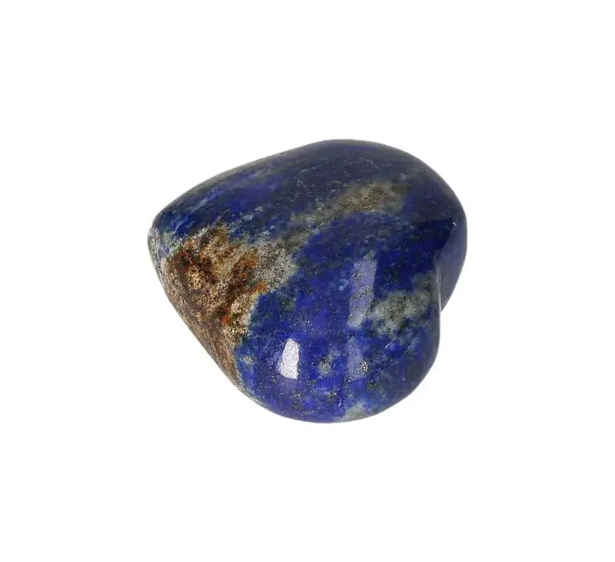 orbitvu|type:image2d