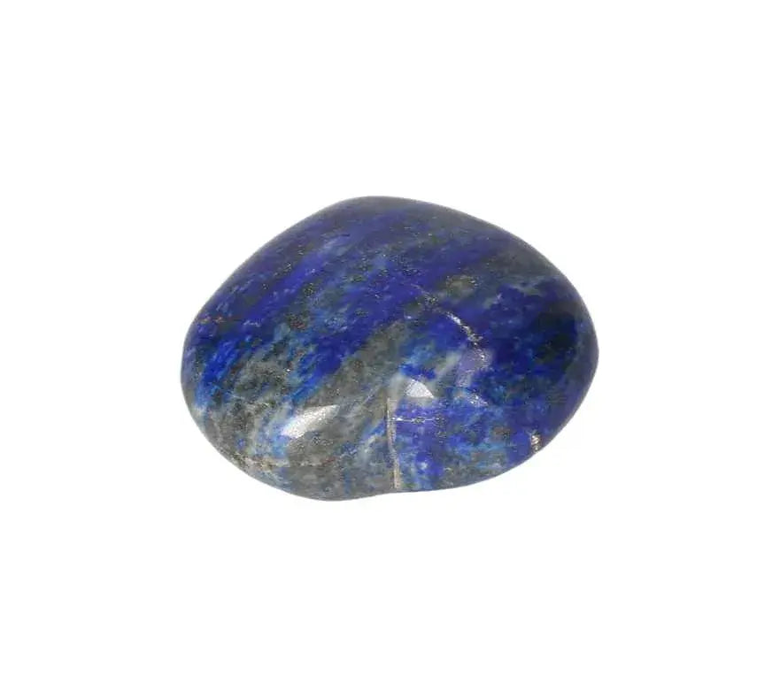 orbitvu|type:image2d