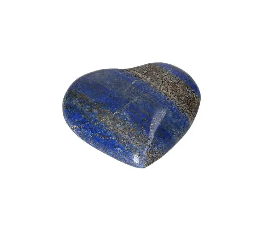 orbitvu|type:image2d