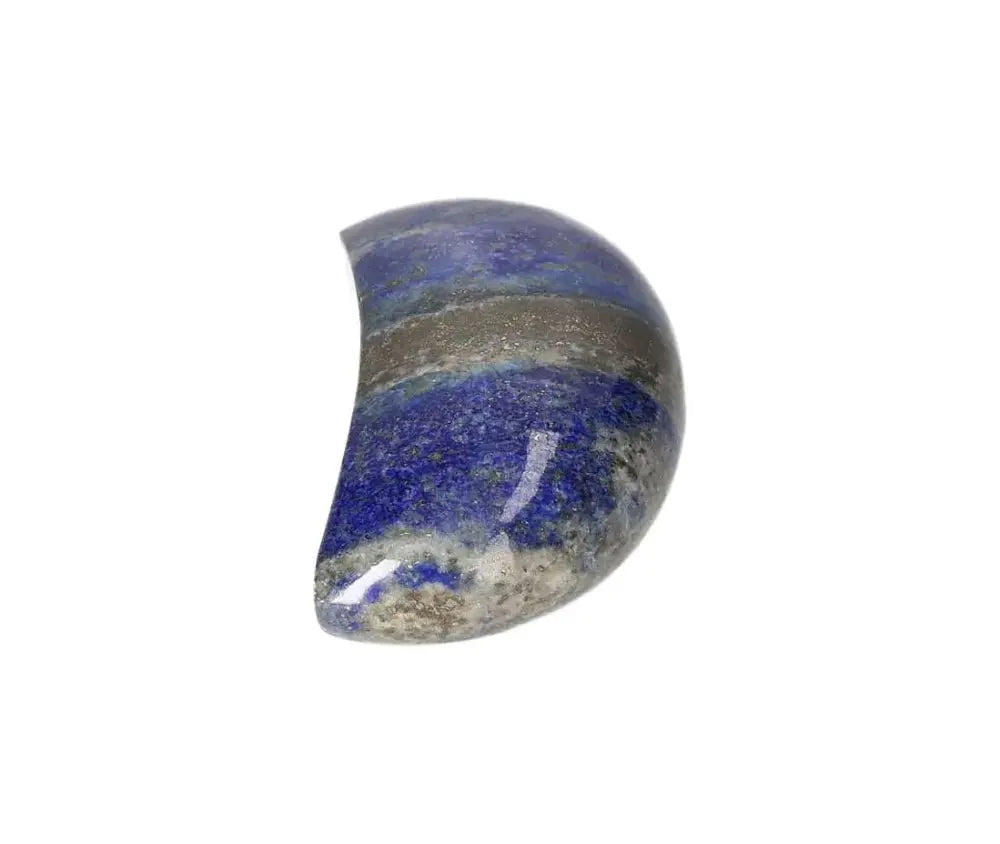 orbitvu|type:image2d