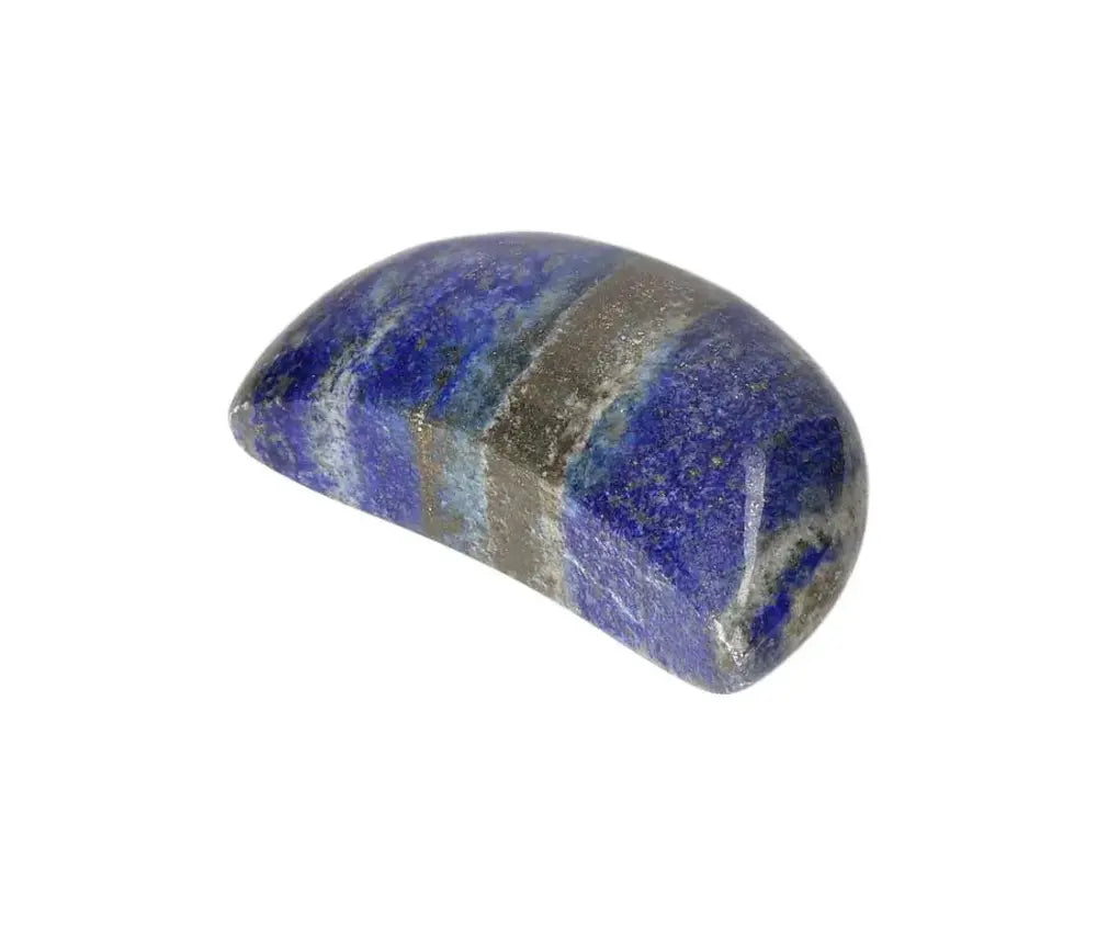 orbitvu|type:image2d