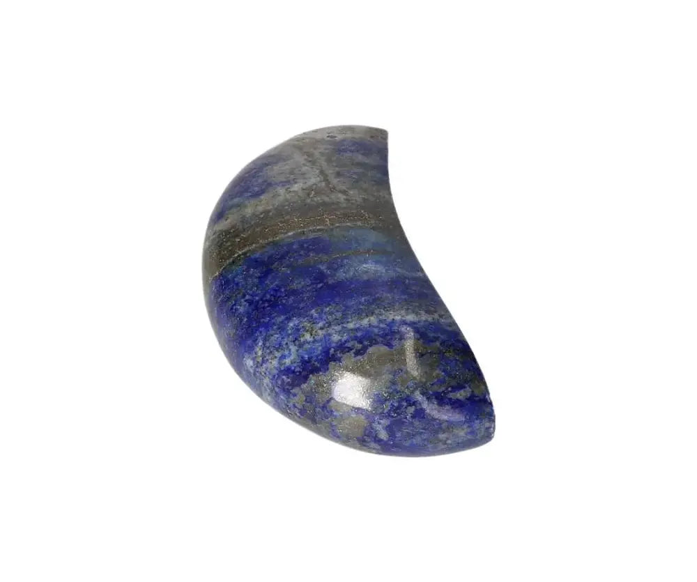 orbitvu|type:image2d