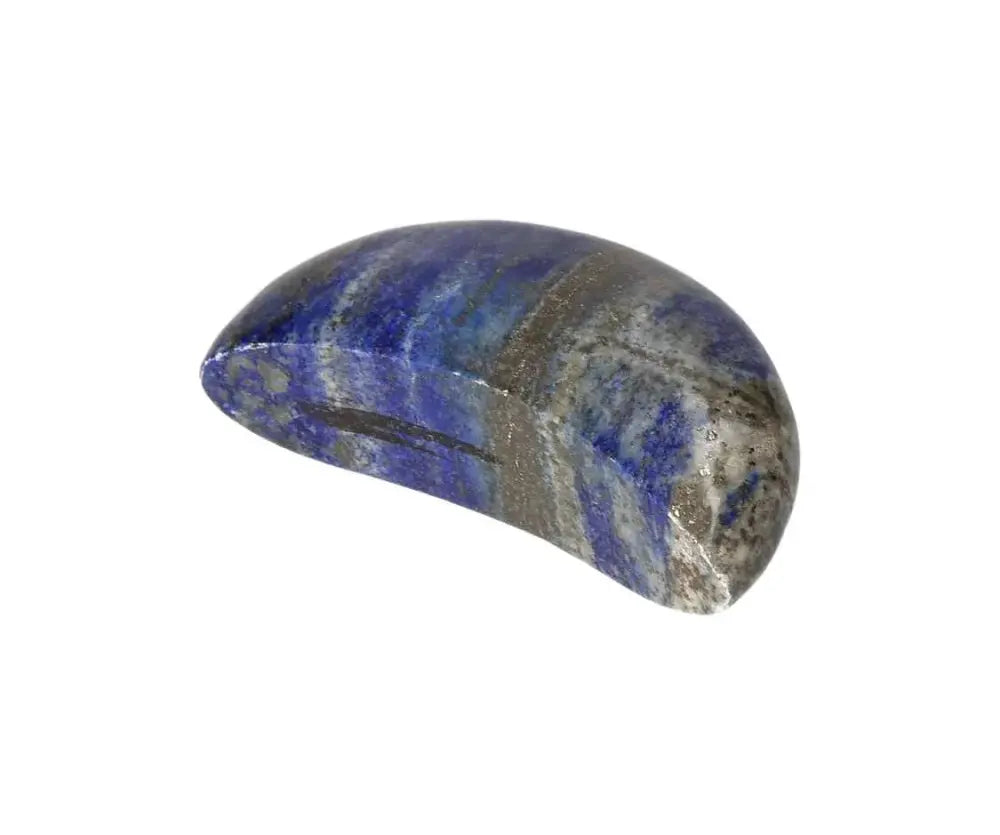 orbitvu|type:image2d