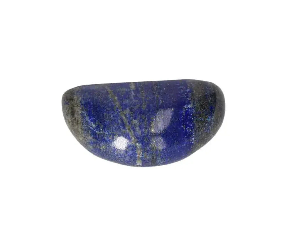 orbitvu|type:image2d