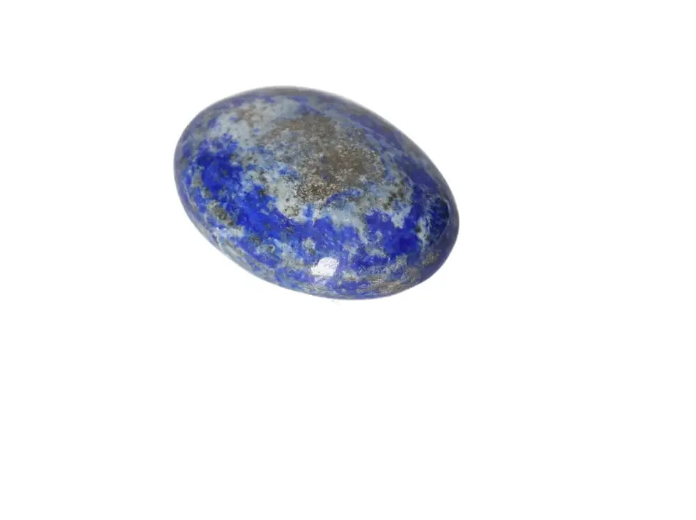 orbitvu|type:image2d