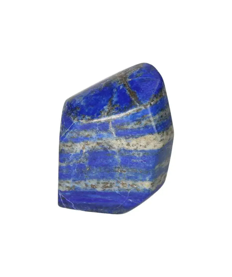 orbitvu|type:image2d