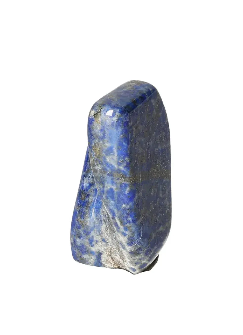 orbitvu|type:image2d