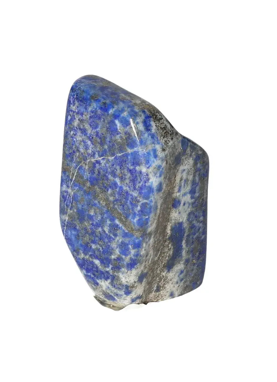 orbitvu|type:image2d