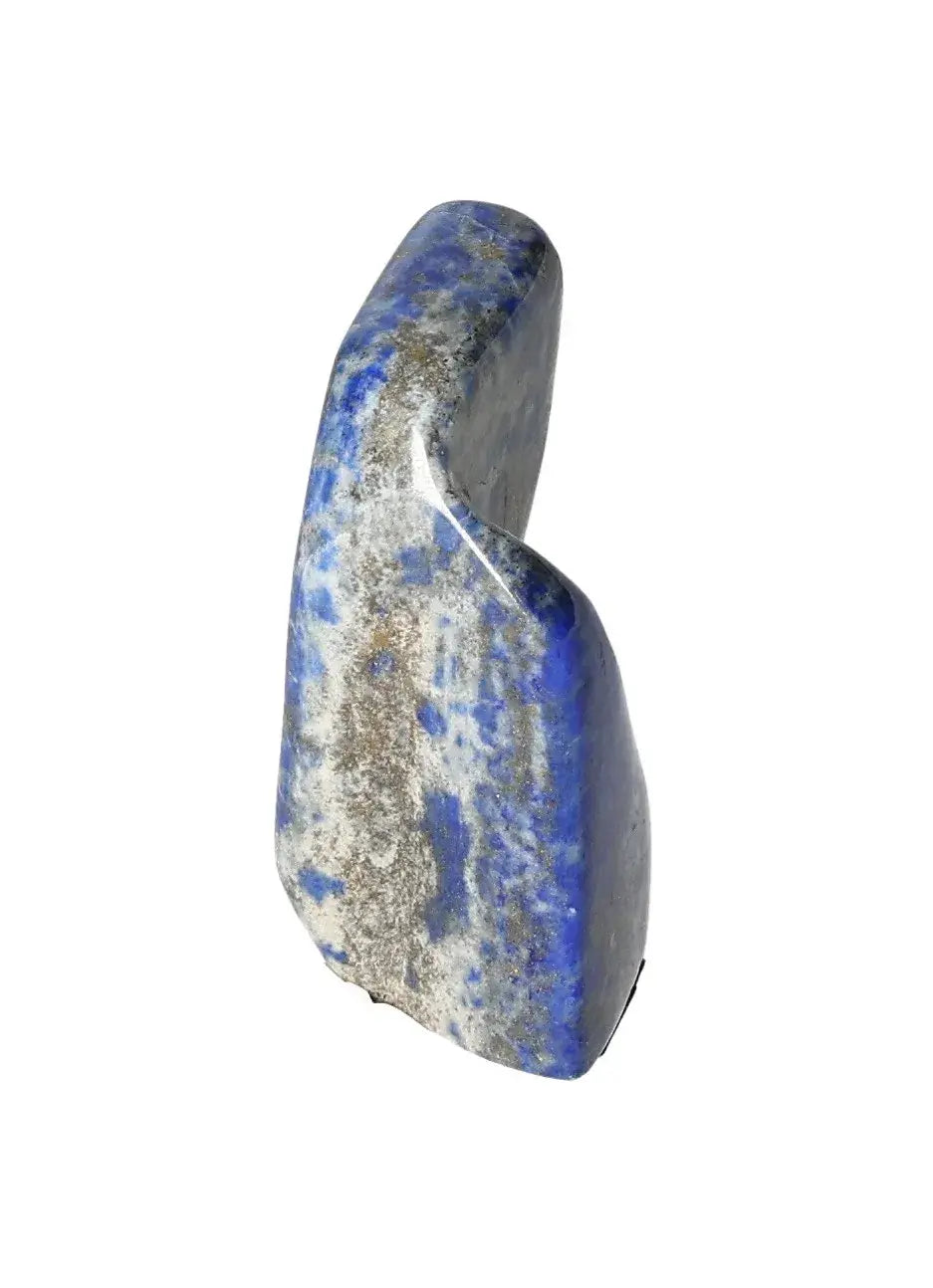 orbitvu|type:image2d