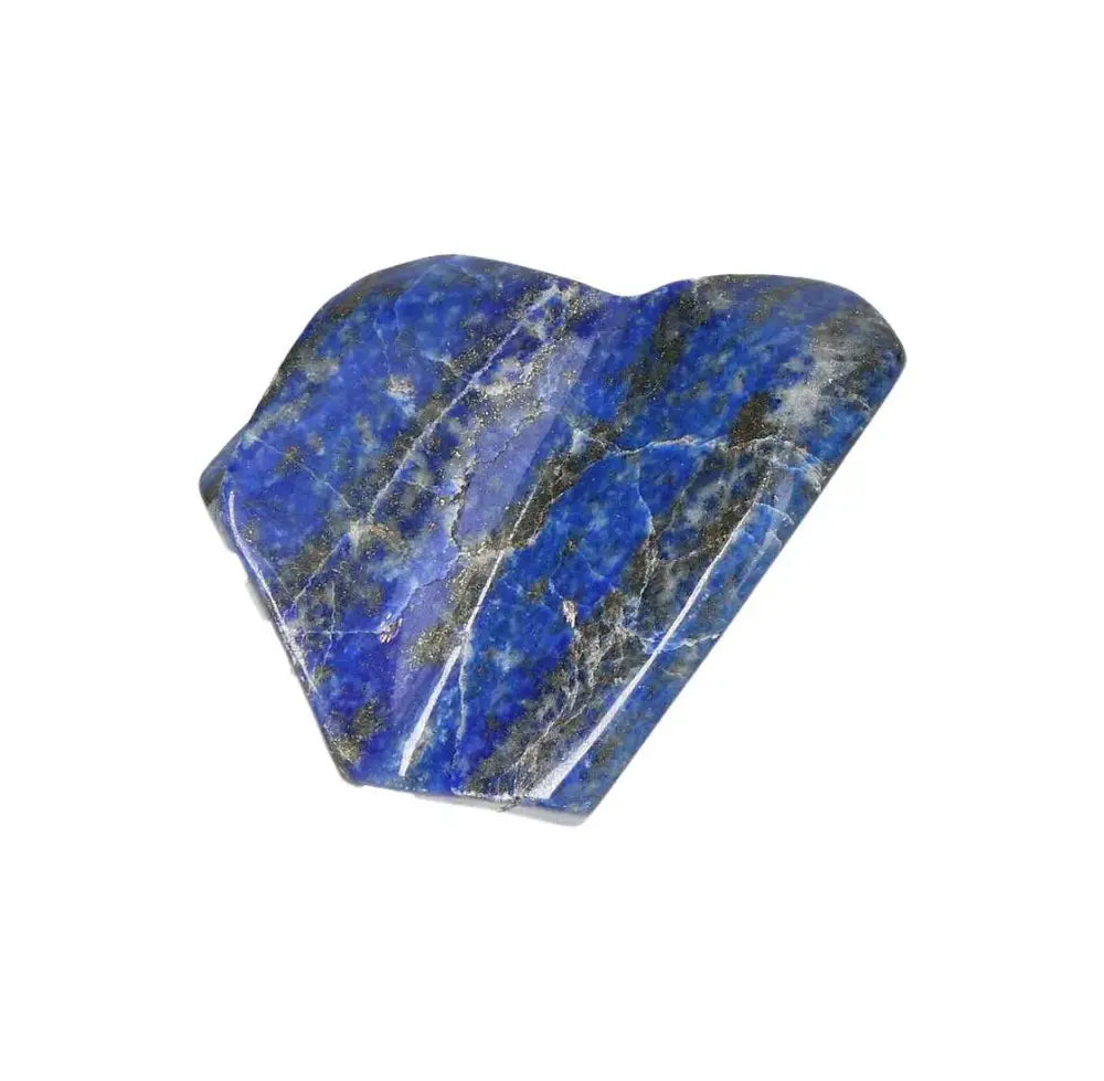 orbitvu|type:image2d