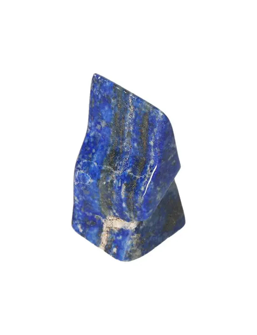 orbitvu|type:image2d