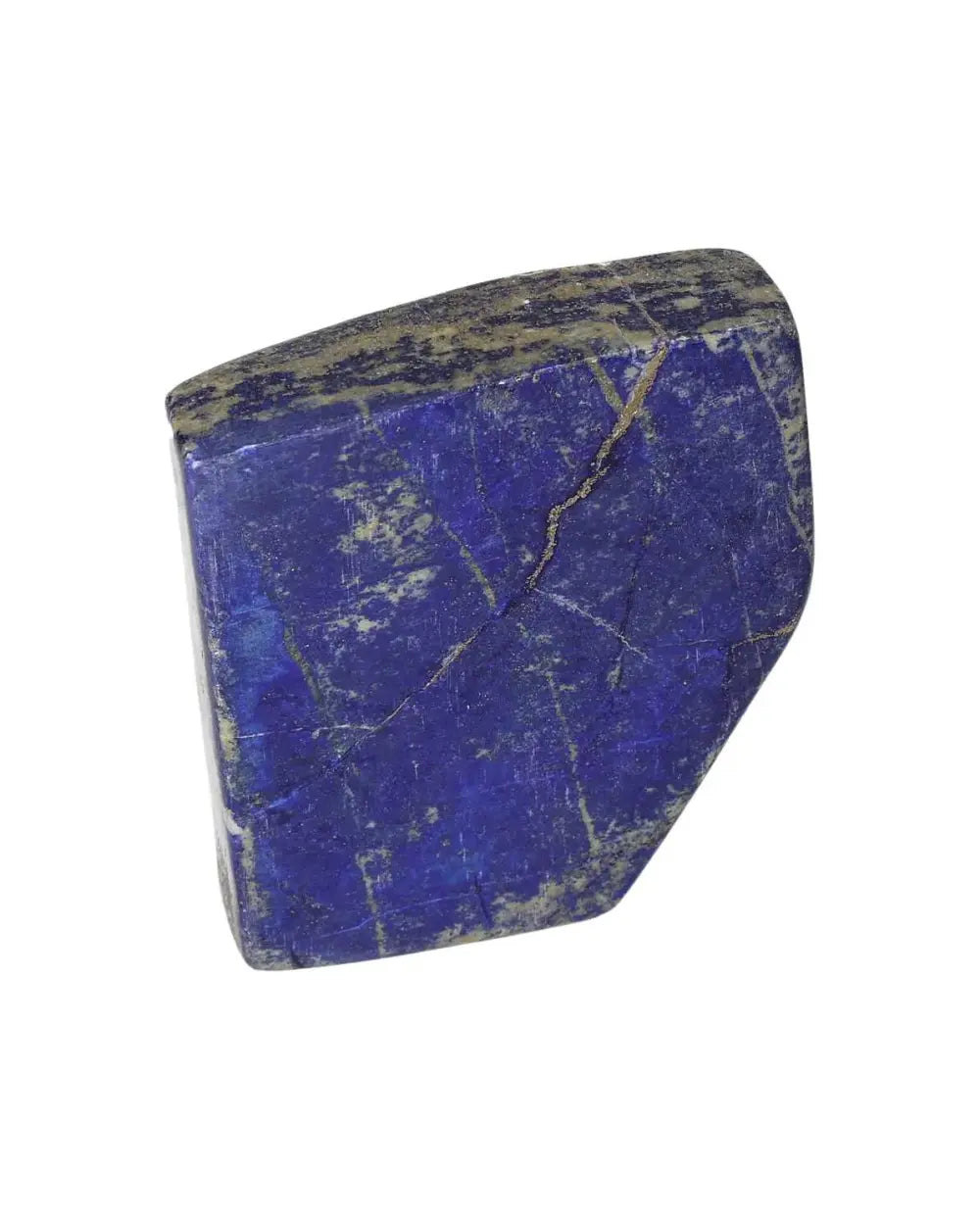 orbitvu|type:image2d