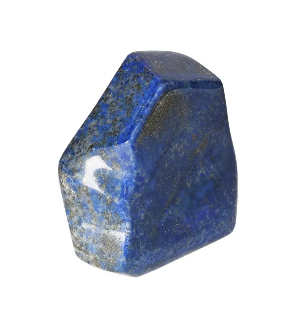 orbitvu|type:image2d