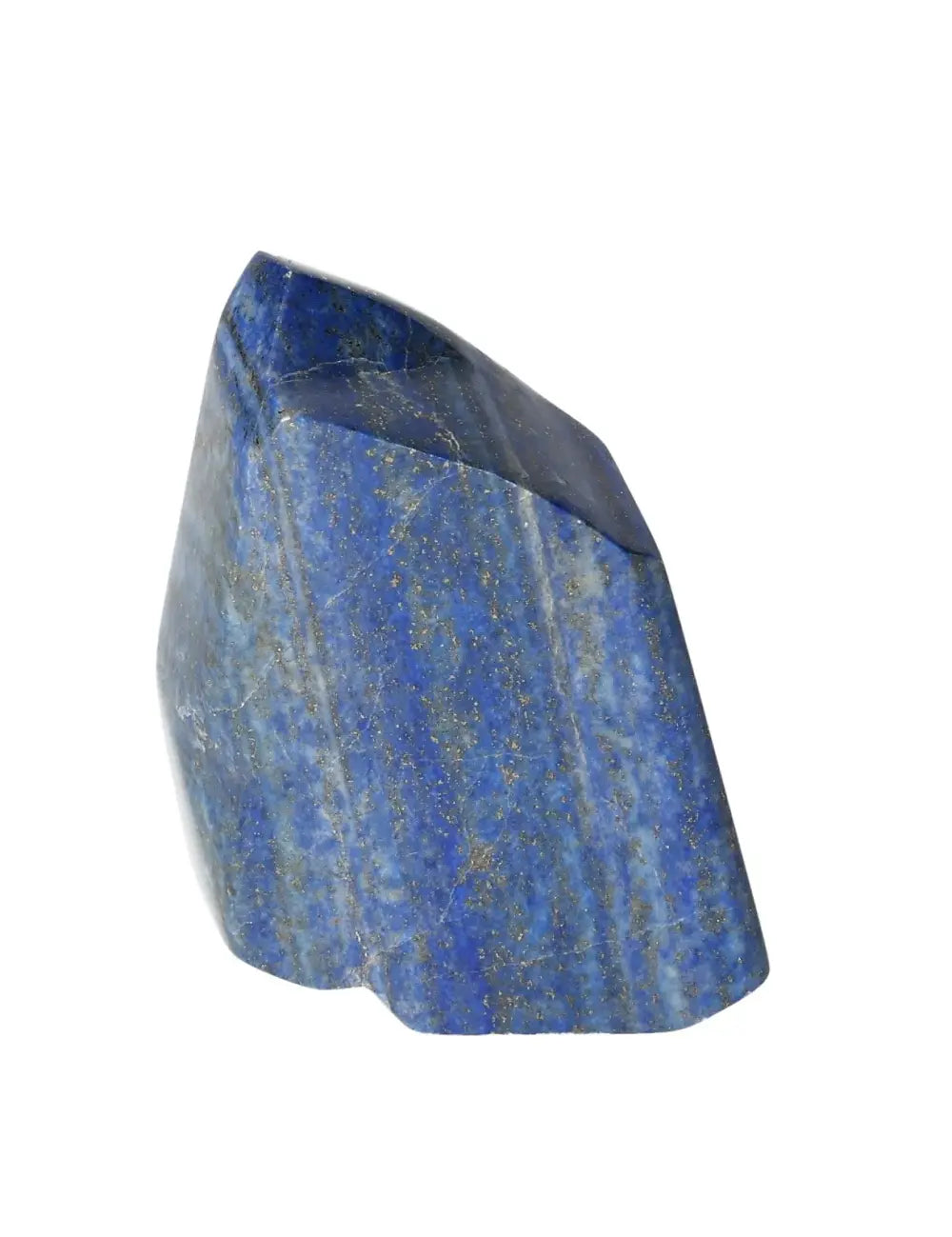 orbitvu|type:image2d