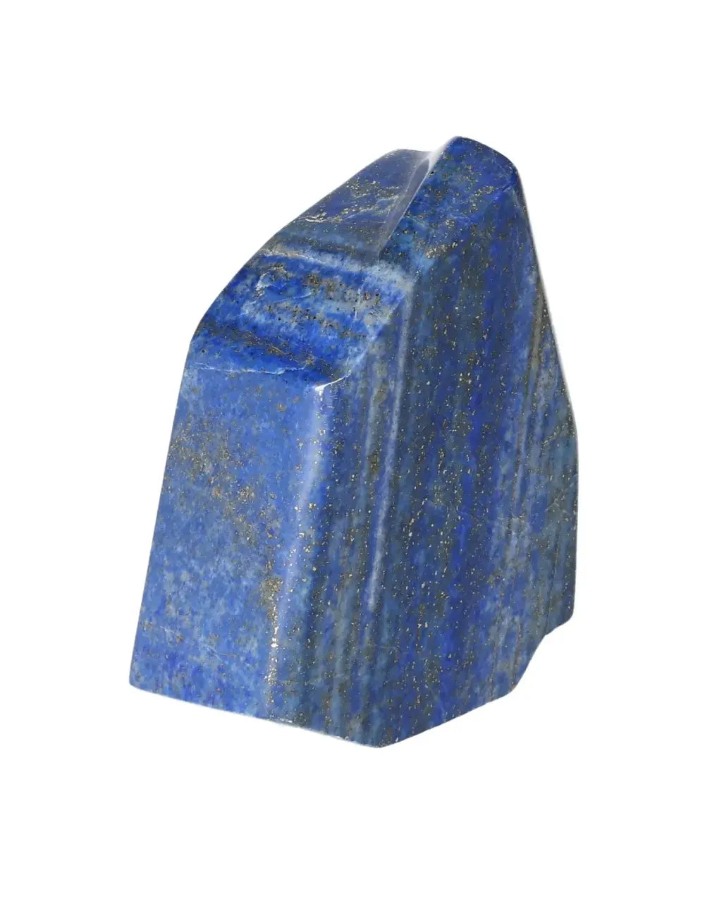 orbitvu|type:image2d