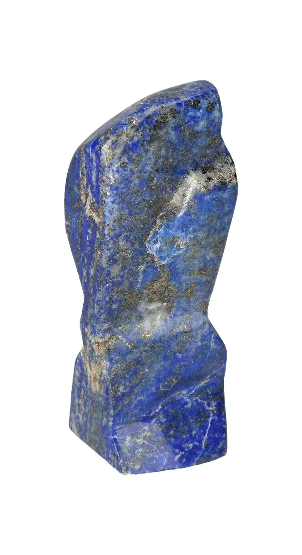 orbitvu|type:image2d