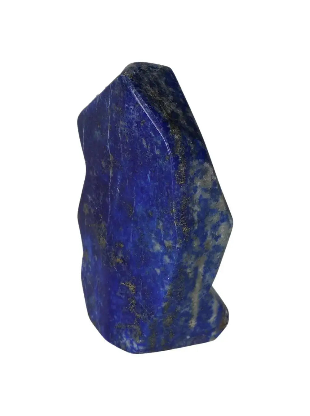 orbitvu|type:image2d